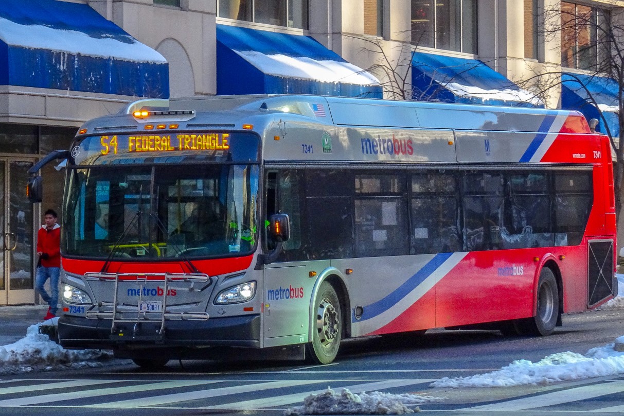 DC bluebuses
