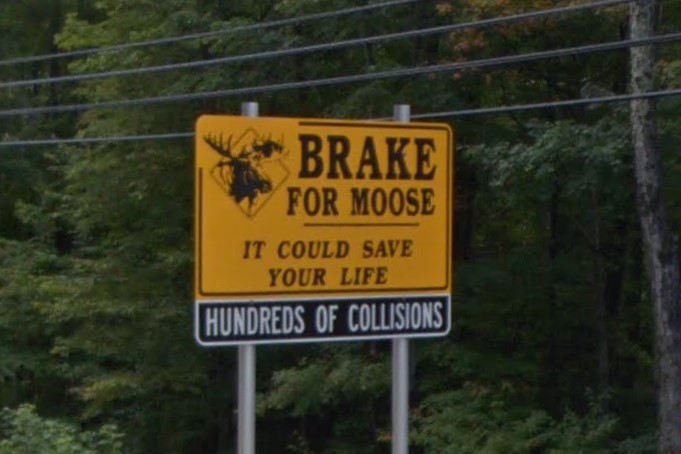 Brake for Moose