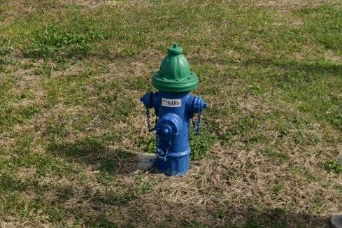 Blue hydrants, Houston