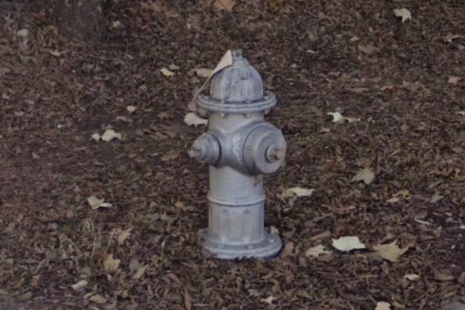 Silver hydrants, Austin