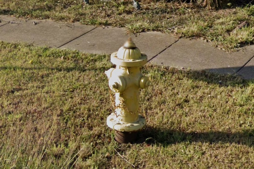 Yellow hydrants, Corpus Christi