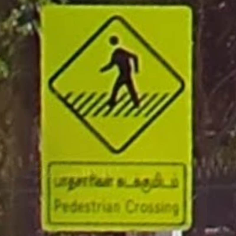 india_pedestrian