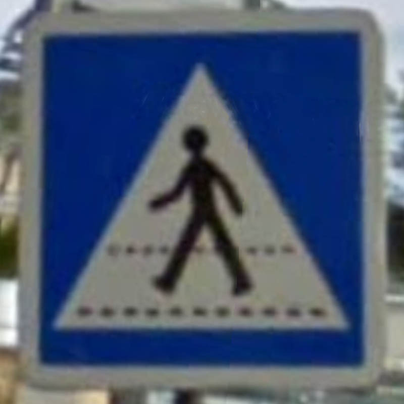 monaco_pedestrian